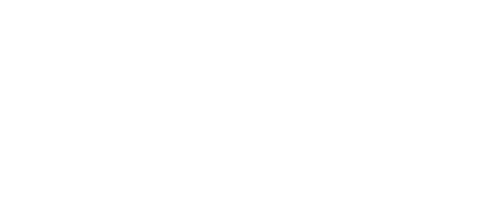 Sponsor główny